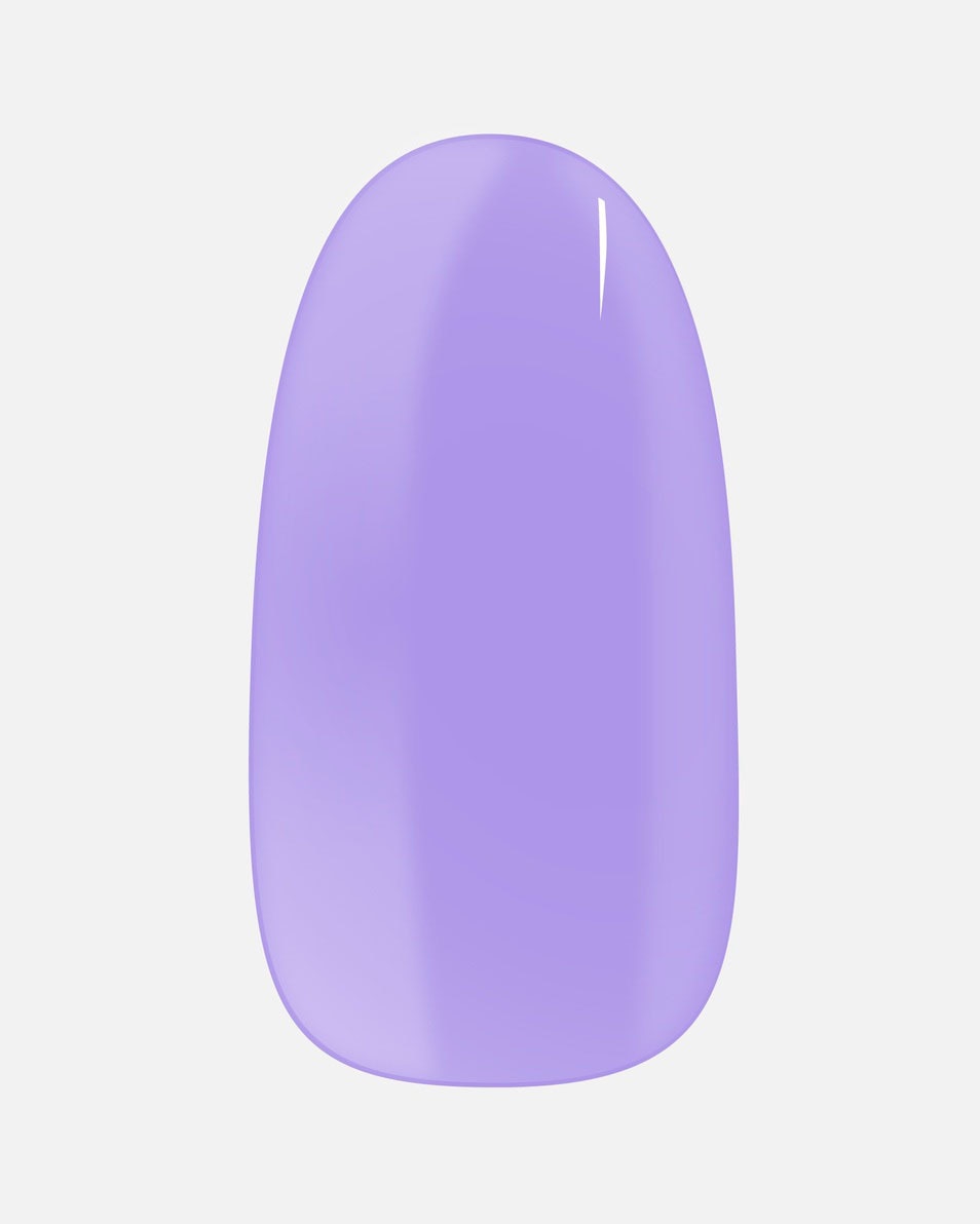 Anna's Lila & Coco's Obsession