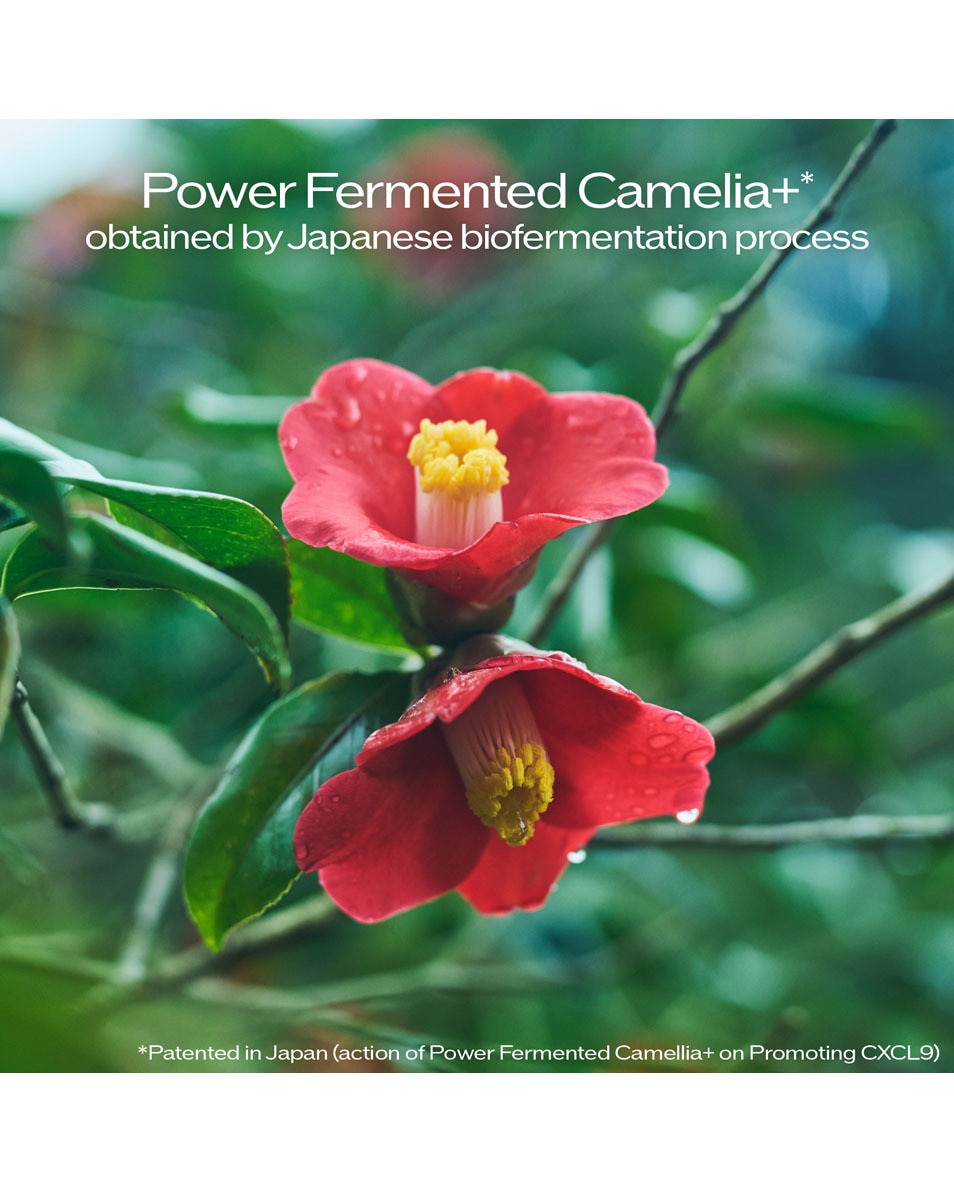 Power Infusing Serum