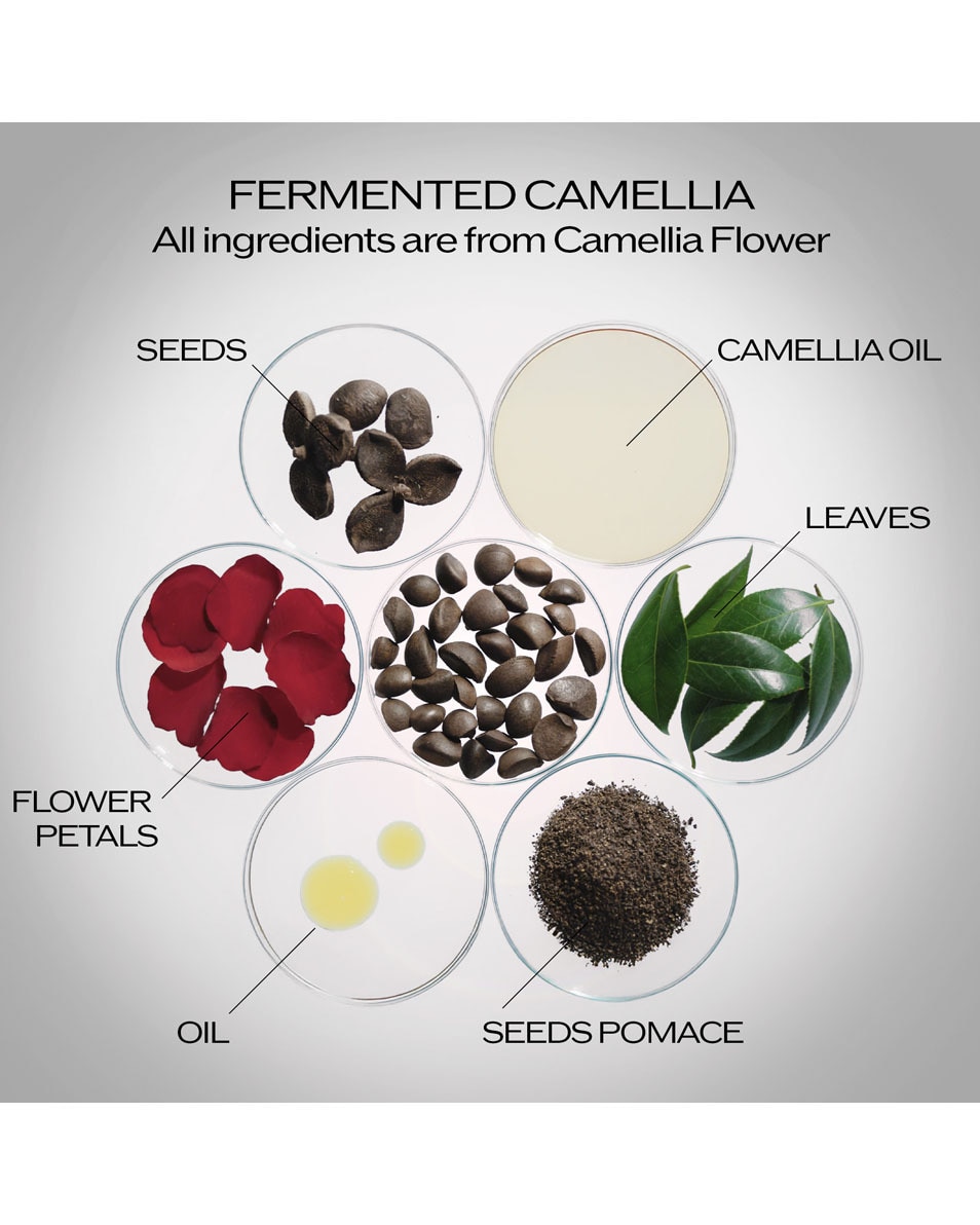 Power Infusing Serum Navulling