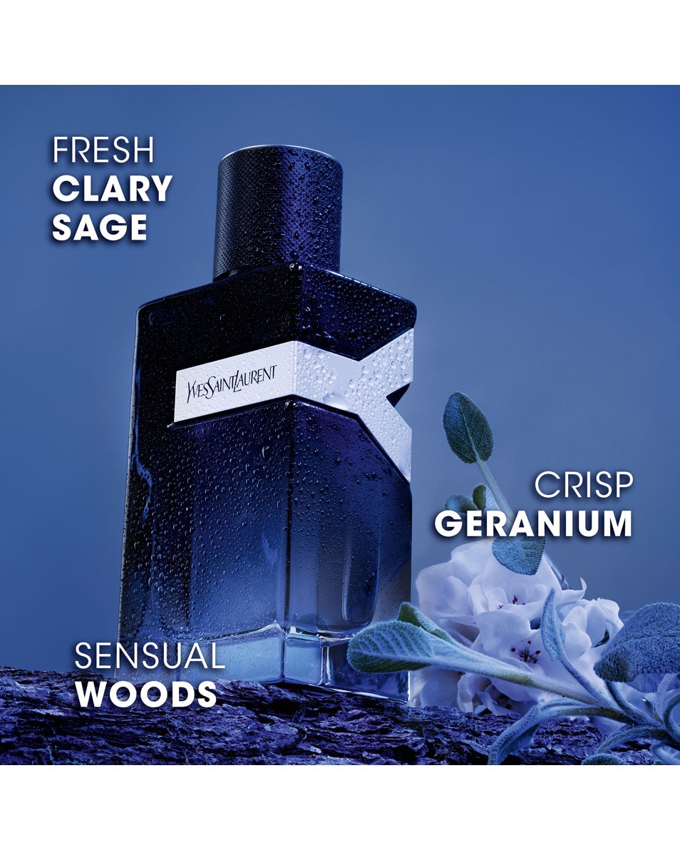 YVES SAINT LAURENT Y Eau De Parfum 200 ML 4