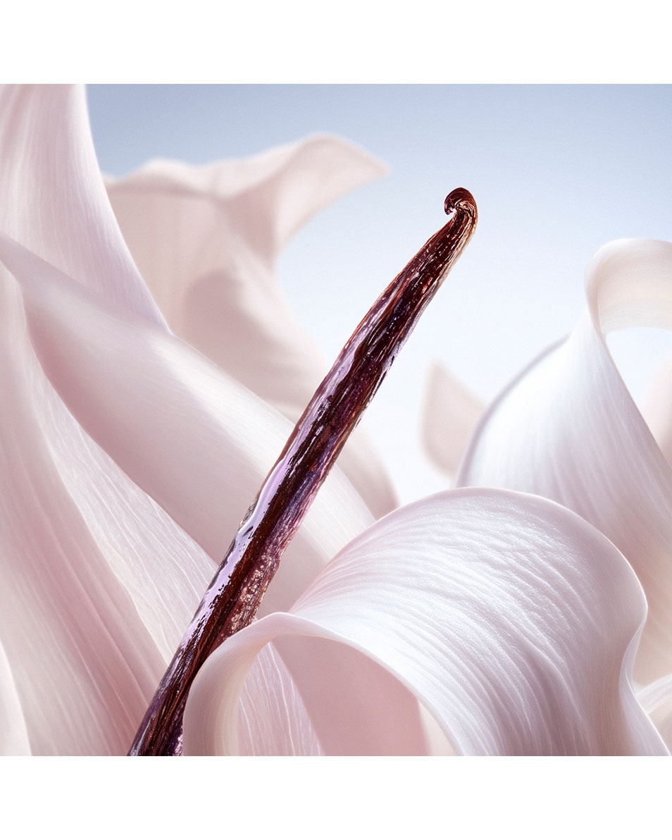 LANCÔME La Vie Est Belle Vanille Nude Hair & Body Mist - Gourmand Geurmist Voor Haar En Lichaam 100 ML 4