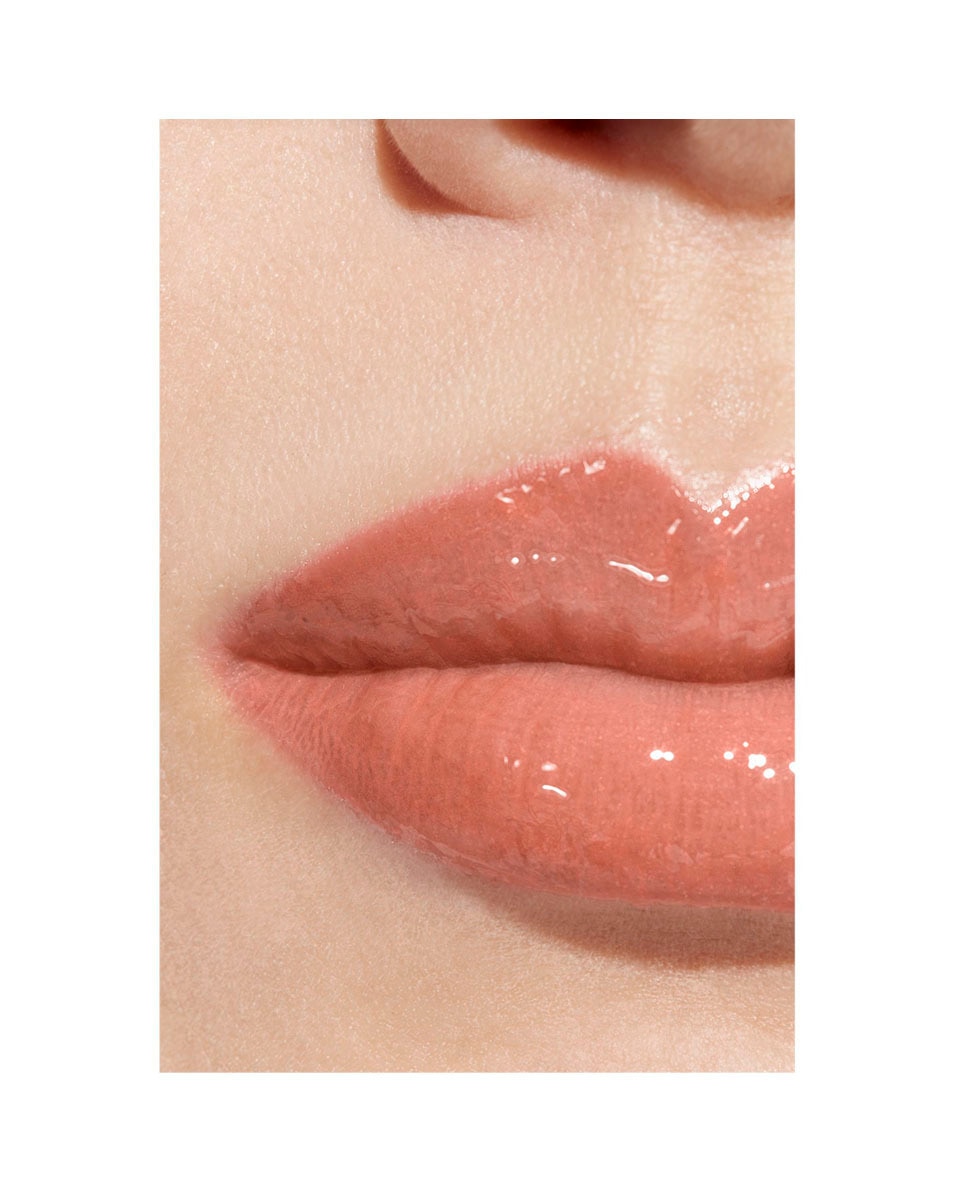 CHANEL ROUGE COCO HYDRA GLOSS HYDRATERENDE EN GLADSTRIJKENDE HOOGGLANS GLOSS 442 ACCESSOIRE 4