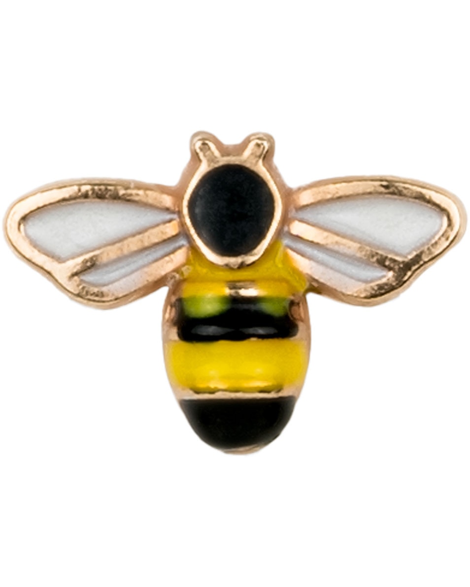 INVISIBOBBLE Wildflower Clipstar Petals n Punch 2 ST