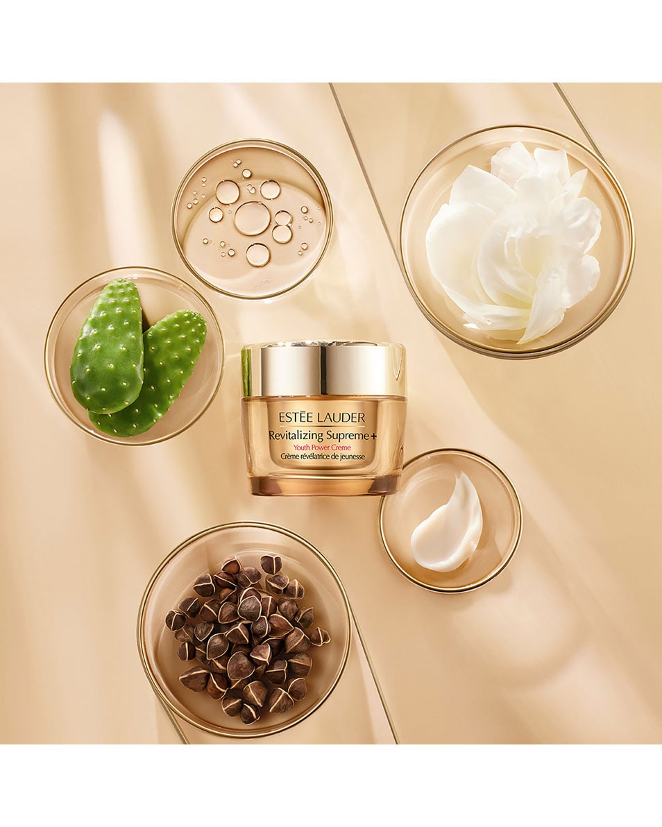 ESTÉE LAUDER Beauty in a Sleep Box Skincare Set Huidverzorgingsset 4 ST 4