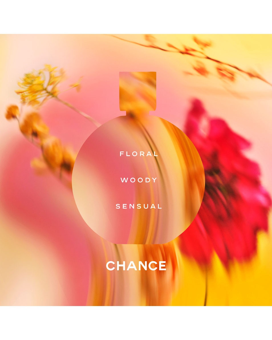 Chanel CHANCE EAU DE PARFUM VERSTUIVER 100 ML 3
