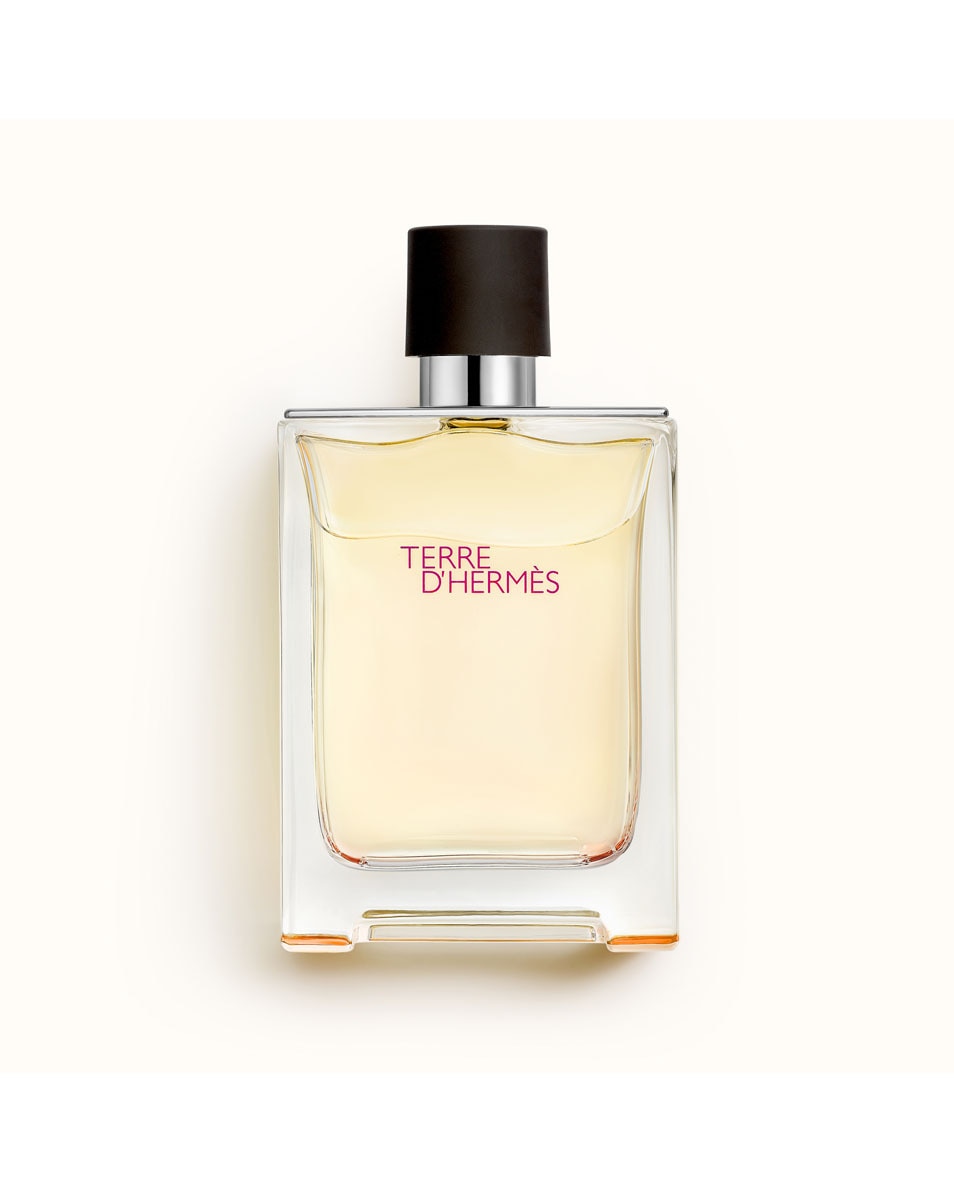 HERMÈS TERRE D'HERMES EAU DE TOILETTE 100 ML