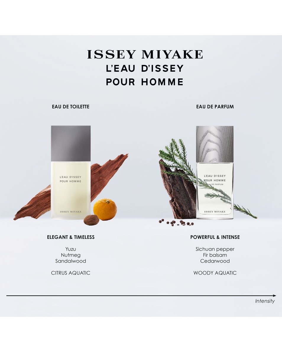 ISSEY MIYAKE L'EAU D'ISSEY POUR HOMME EAU DE TOILETTE SPRAY 125 ML 4