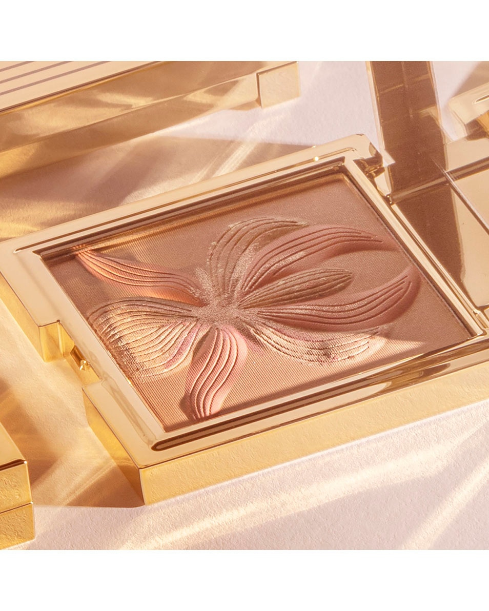 Highlighter en blush