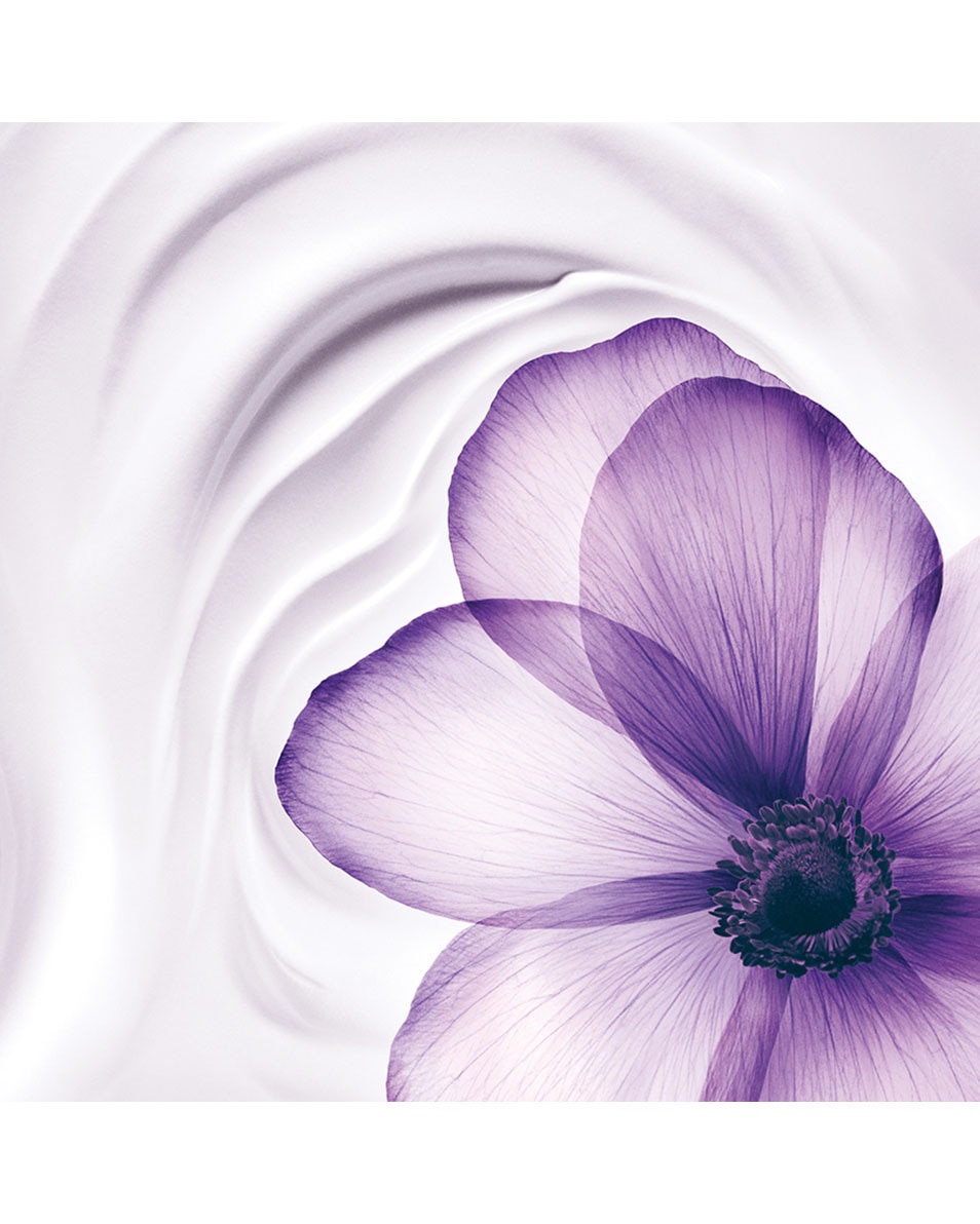 Lifting Firming Anti-Wrinkle Night Cream