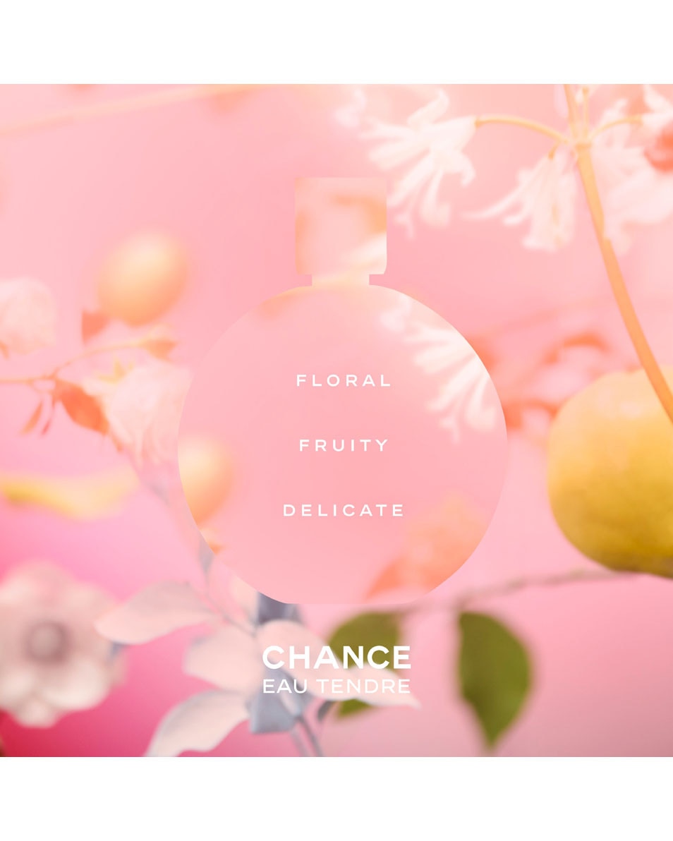 CHANEL CHANCE EAU TENDRE EAU DE TOILETTE VERSTUIVER 150 ML 3