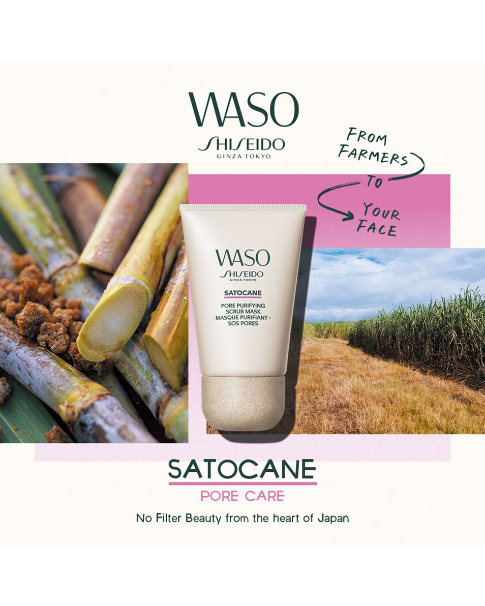 SATOCANE PORE PURIFYING SCRUB MASK