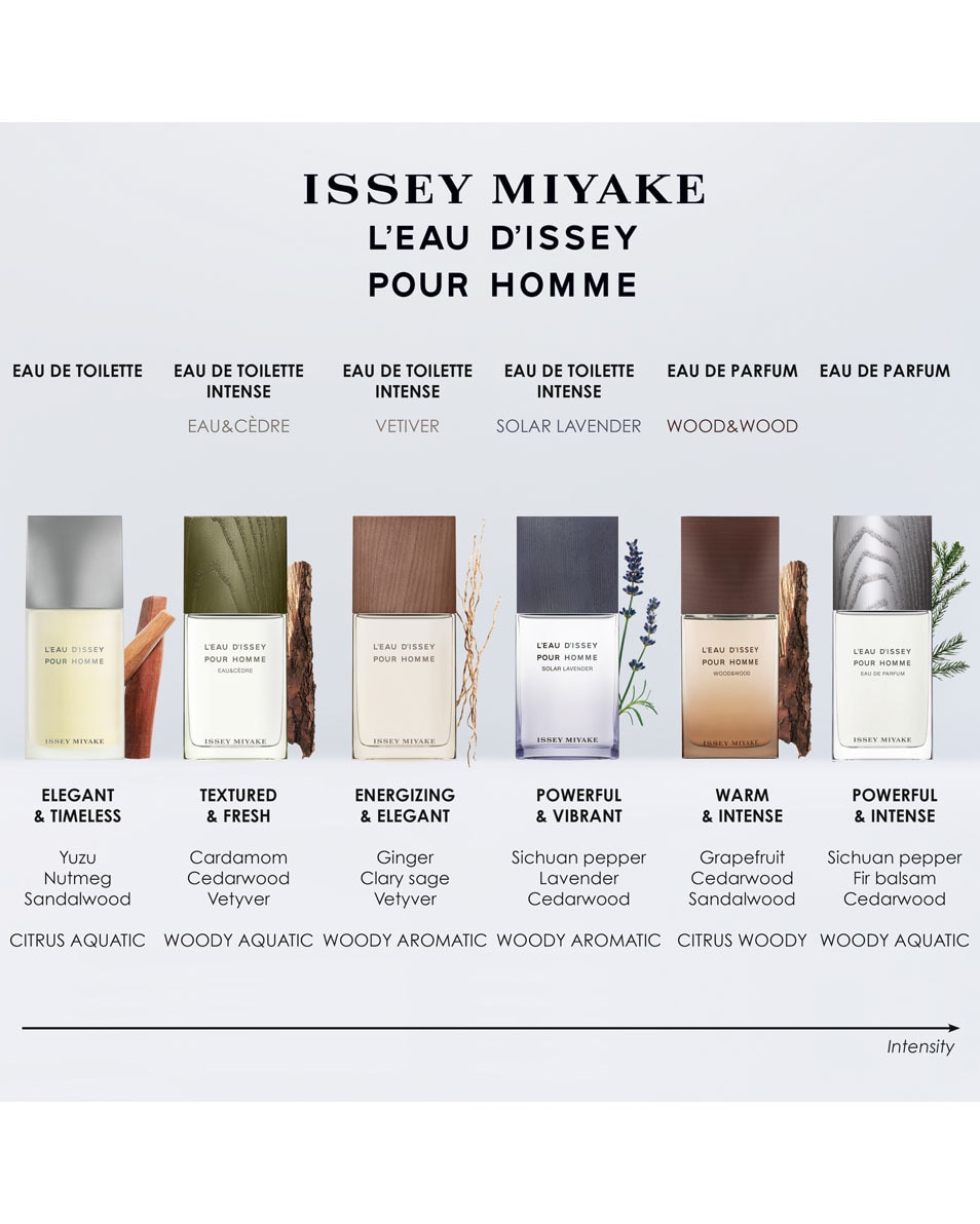 ISSEY MIYAKE L'EAU D'ISSEY VETIVER EAU DE TOILETTE INTENSE 50 ML 5