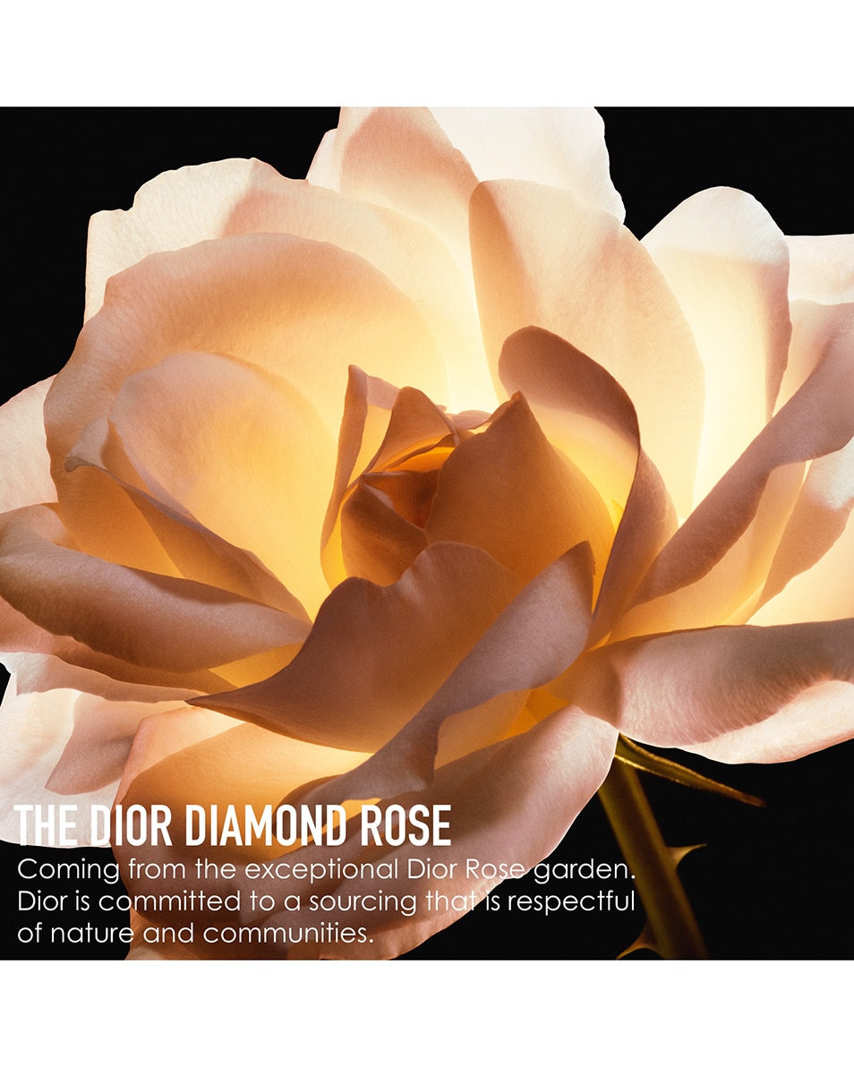 LA CRÈME TEXTURE FINE