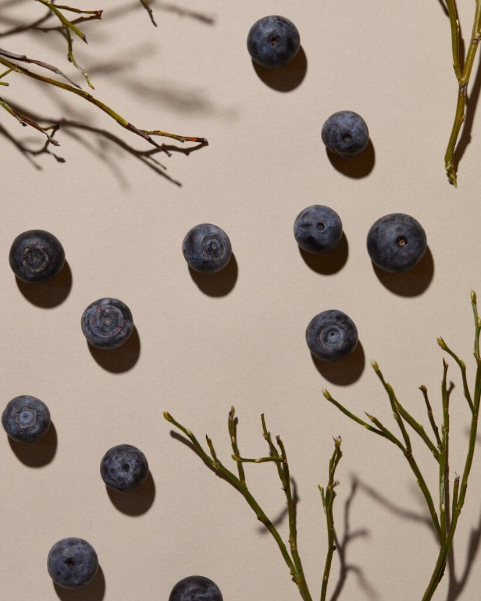 REF STOCKHOLM MINI ILLUMINATE COLOUR SHAMPOO Shampoo voor gekleurd haar 100 ML 5