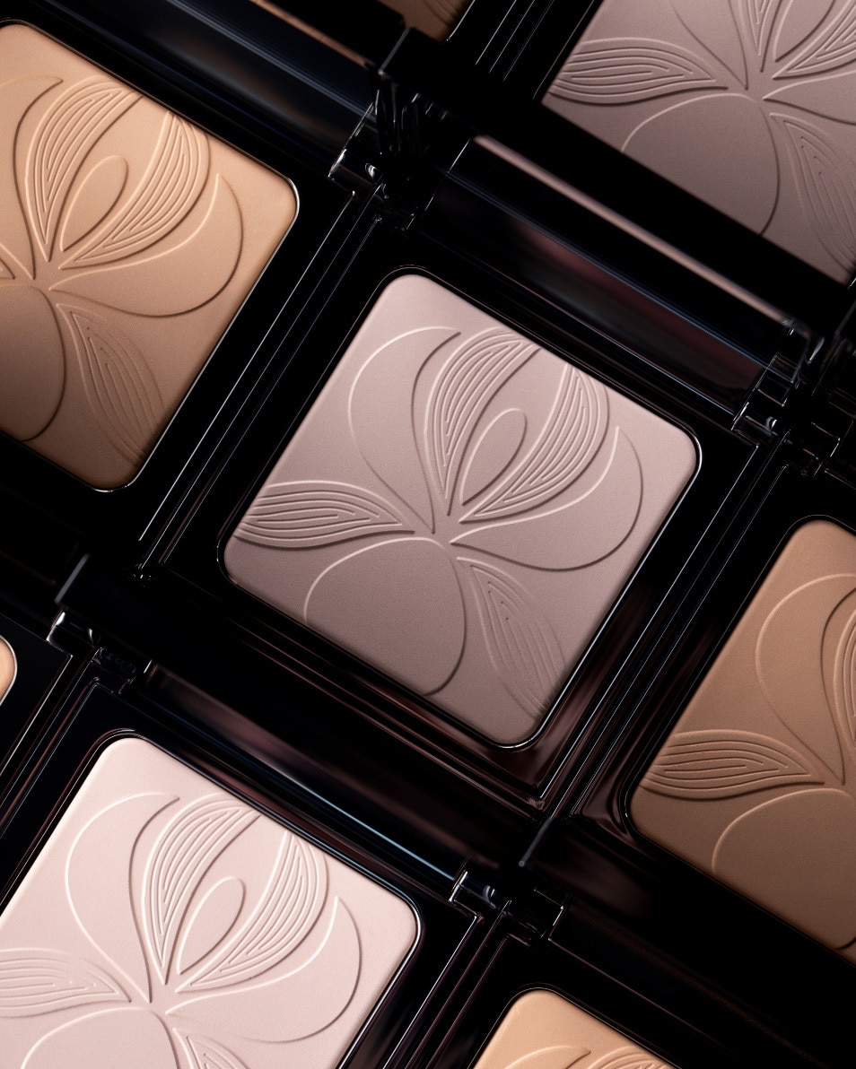 FIJN LAAGJE PERFECTIONEREND MATTEREND EN VERHELDEREND POEDER