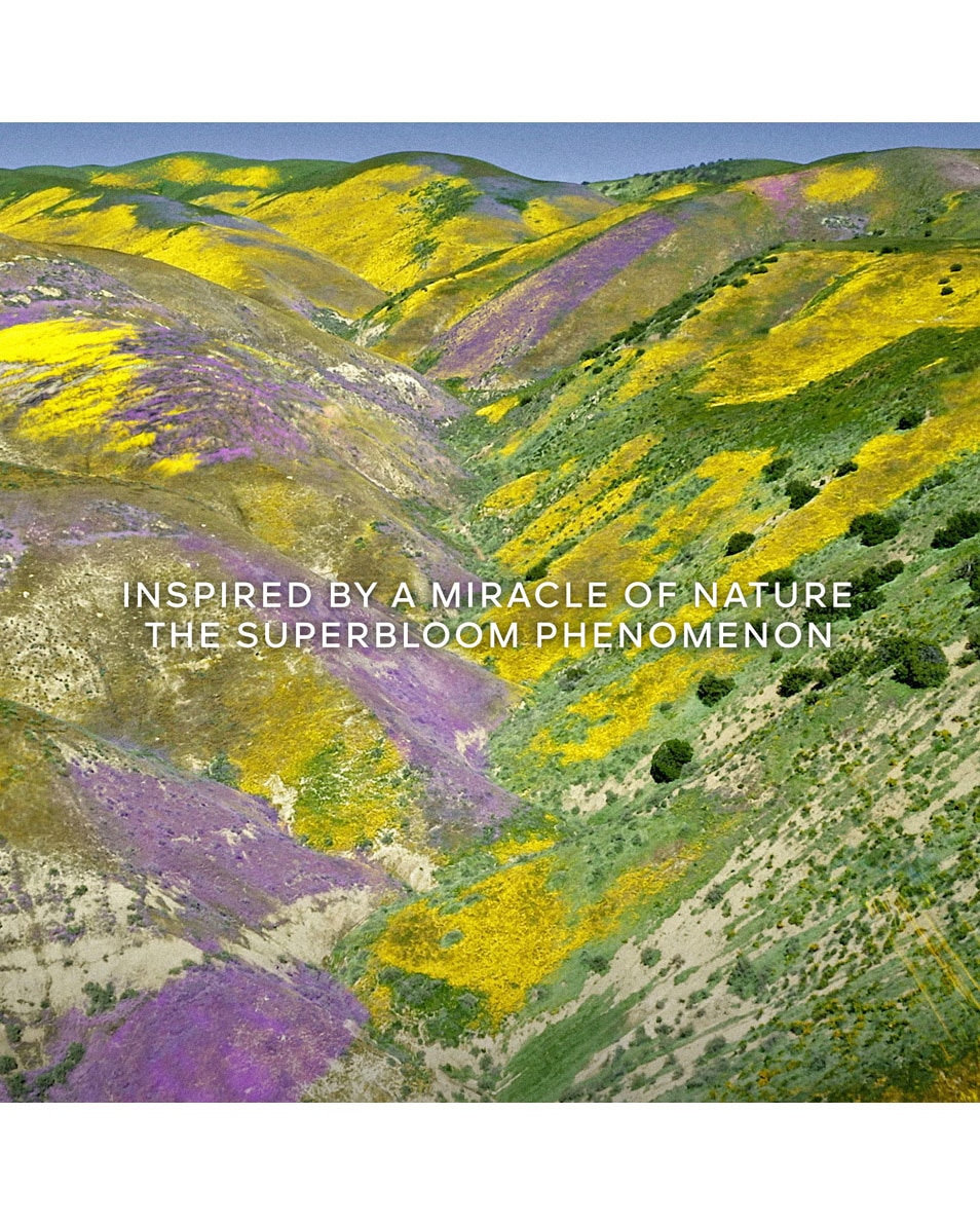 GUERLAIN Aqua Allegoria Florabloom - Eau de Toilette 200 ML 5