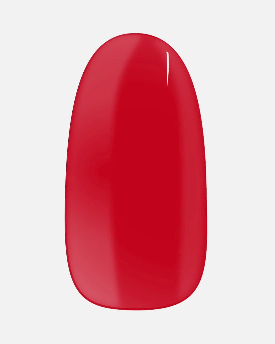 Anna's Lila & Coco's Obsession