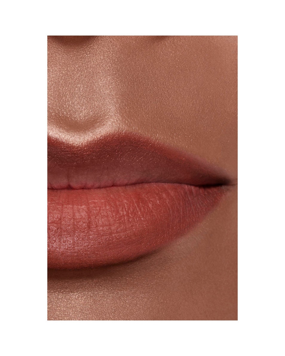 CHANEL LE CRAYON LÈVRES LANGHOUDEND LIPPENPOTLOOD 216 BRUN SIENNE