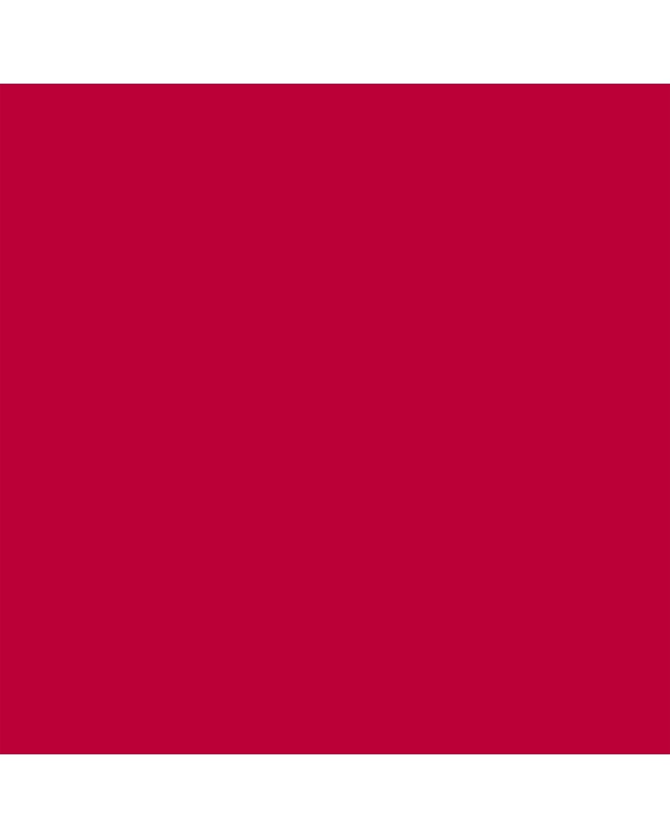SENSAI MOISTURE INTENSE LIPSTICK-REFILL LIPSTICK-REFILL CASSIS RED 5
