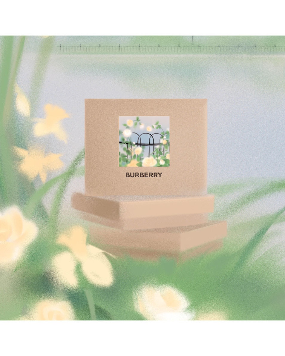 BURBERRY Goddess Fragrance set 3 ST 5