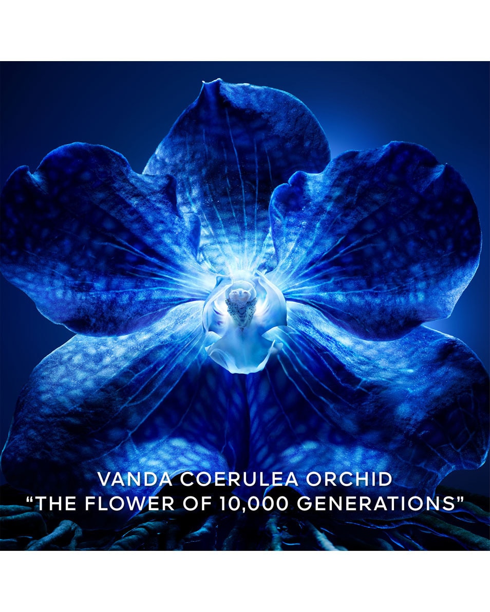 GUERLAIN Orchidée Impériale The Longevity Concentrate - De navulling 30 ML 5