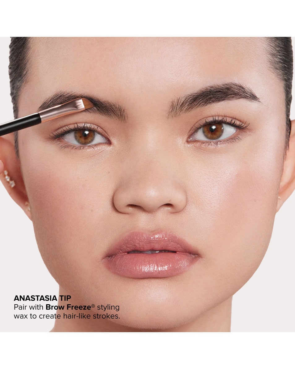ANASTASIA BEVERLY HILLS Brow Powder Duo Brow Powder Ebony