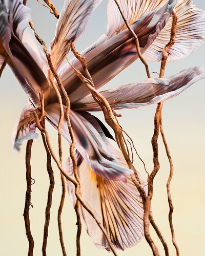 BVLGARI MAN TERRAE ESSENCE EAU DE PARFUM 60 ML