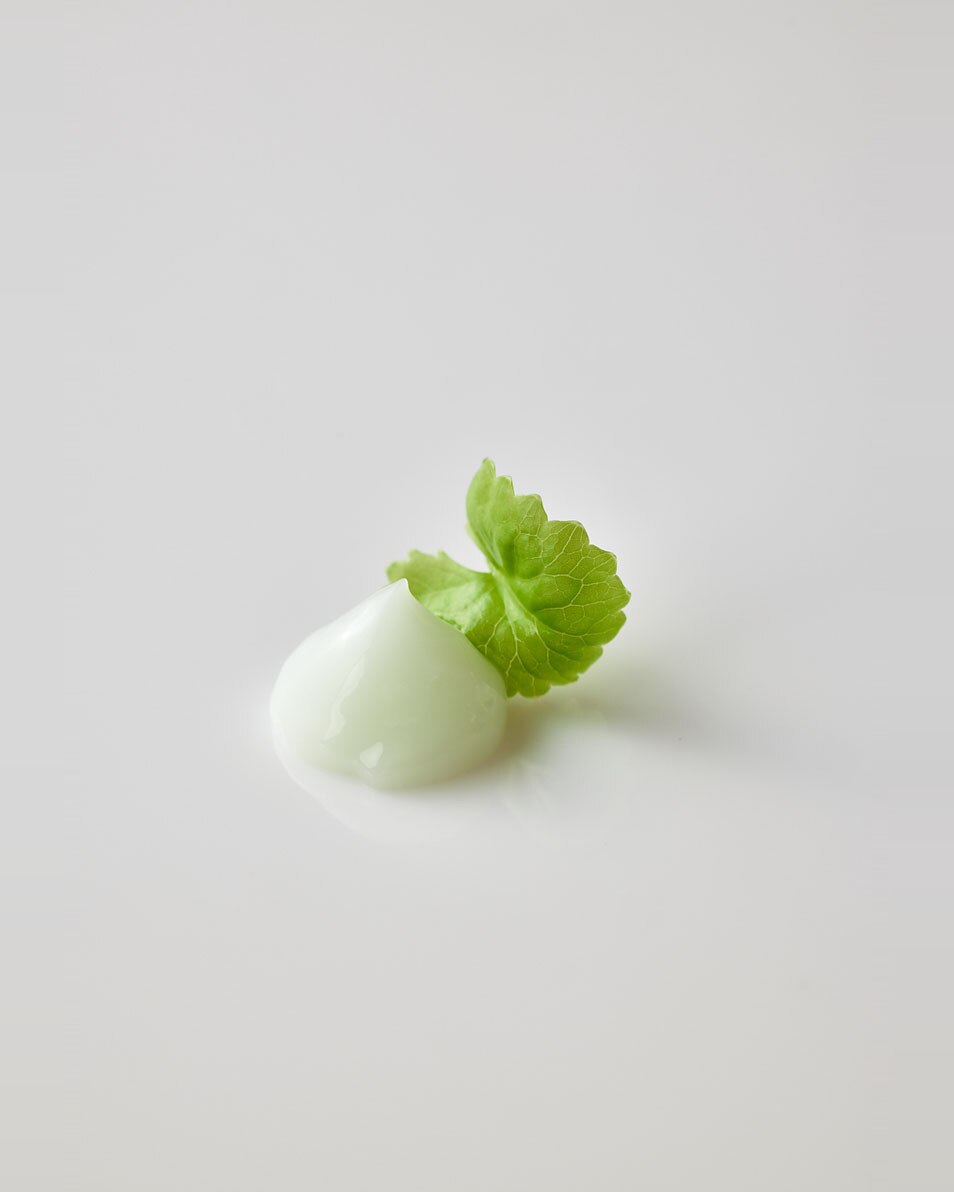 BEAUTY OF JOSEON Light On Verhelderend Serum: Centella + Vitamine C 30 ML 5