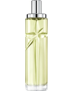 Pistachio Praline Eau de Toilette – Gourmand houtachtig fruitig parfum voor dames Pistachio Praline Eau de Toilette – Gourmand houtachtig fruitig parfum voor dames