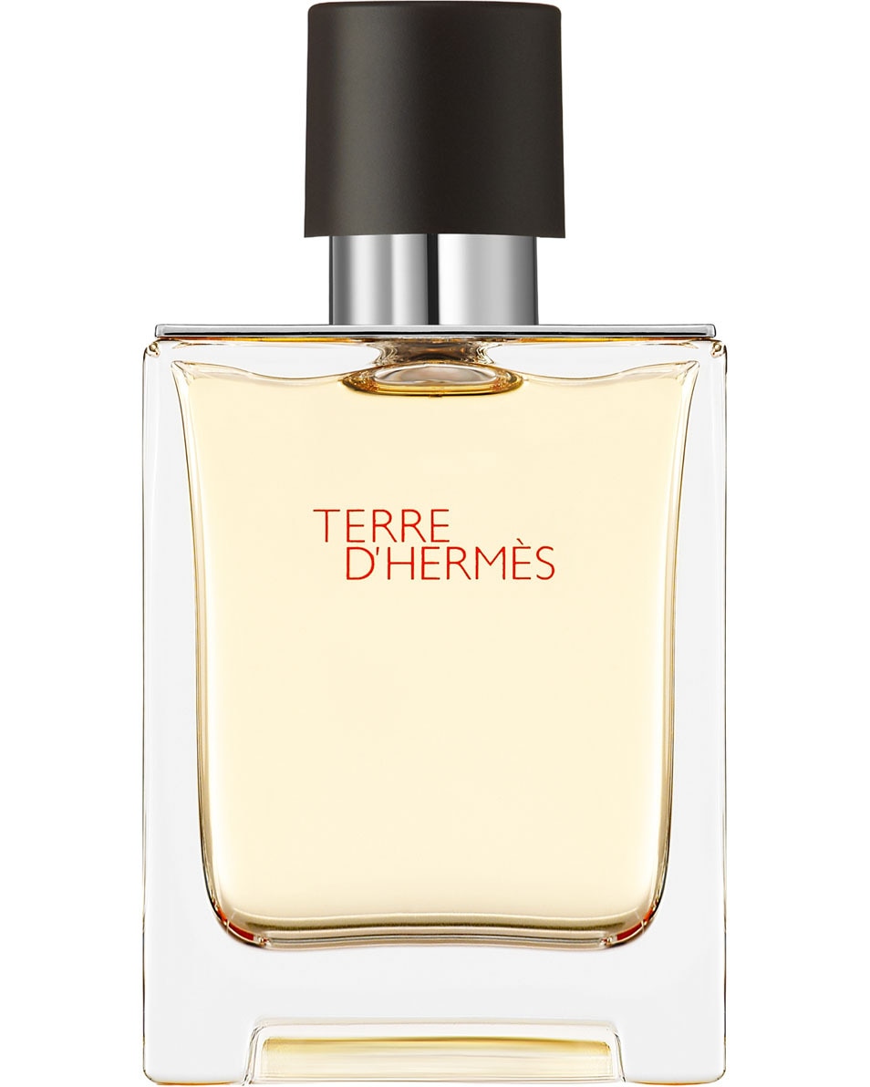 HERMÈS TERRE D'HERMÈS EAU DE TOILETTE VERSTUIVER 50 ML