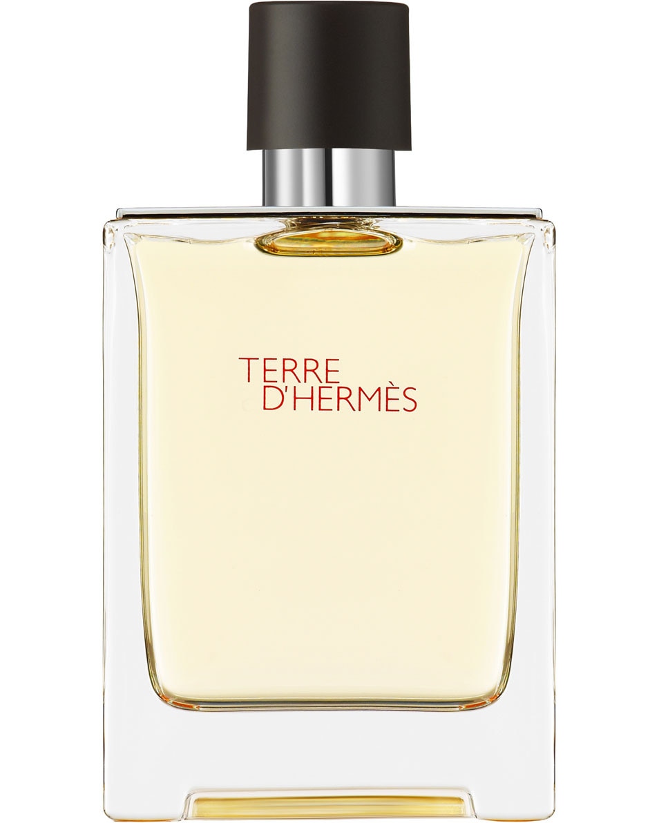 HERMÈS TERRE D'HERMES EAU DE TOILETTE 100 ML