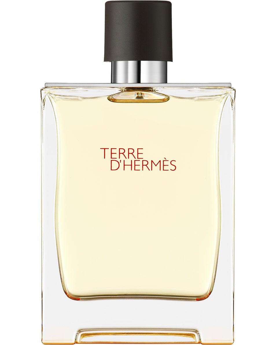 HERMÈS TERRE D'HERMÈS EAU DE TOILETTE VERSTUIVER 200 ML