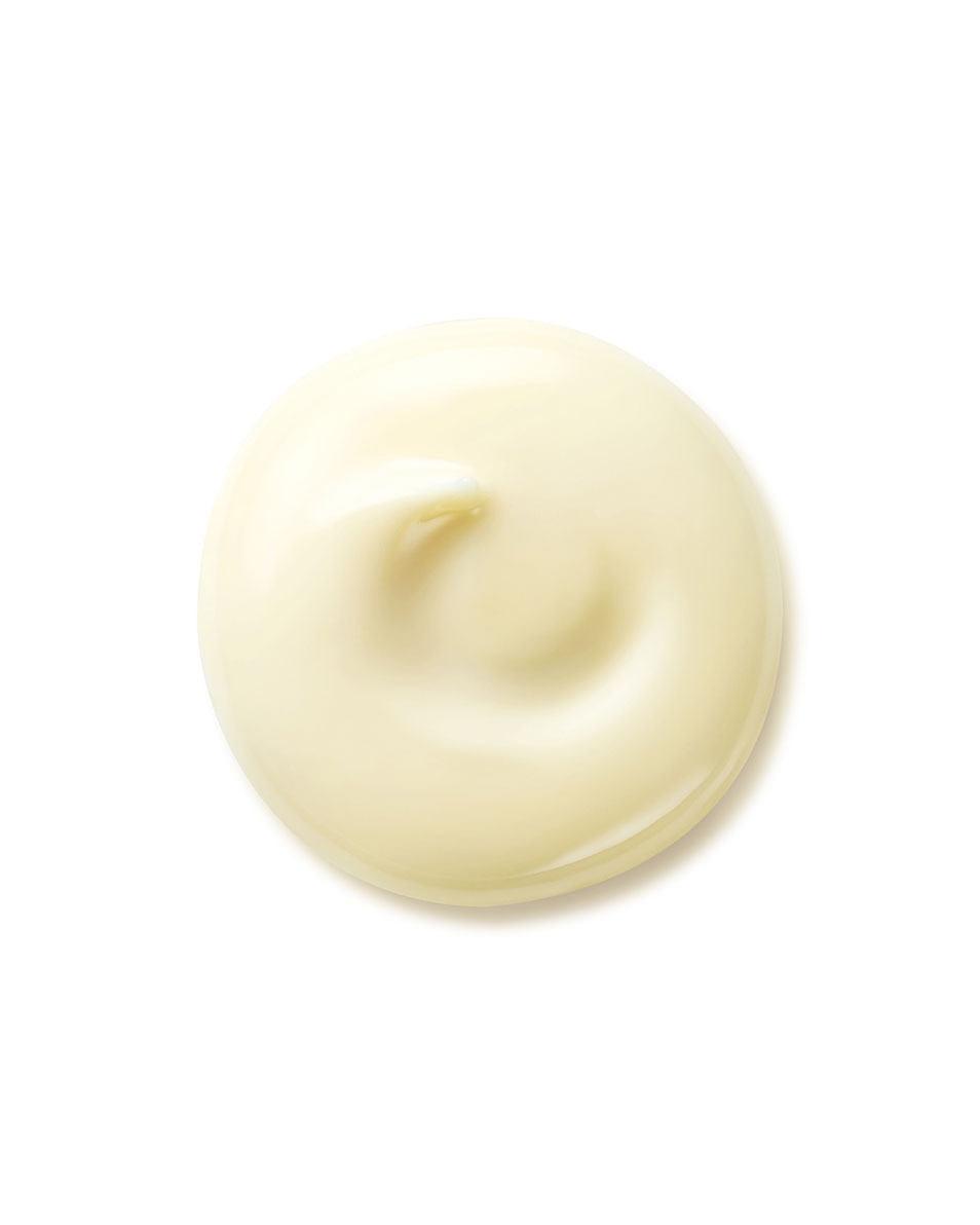 SHISEIDO BENEFIANCE WRINKLE SMOOTHING DAY CREAM SPF 25 50 ML 2