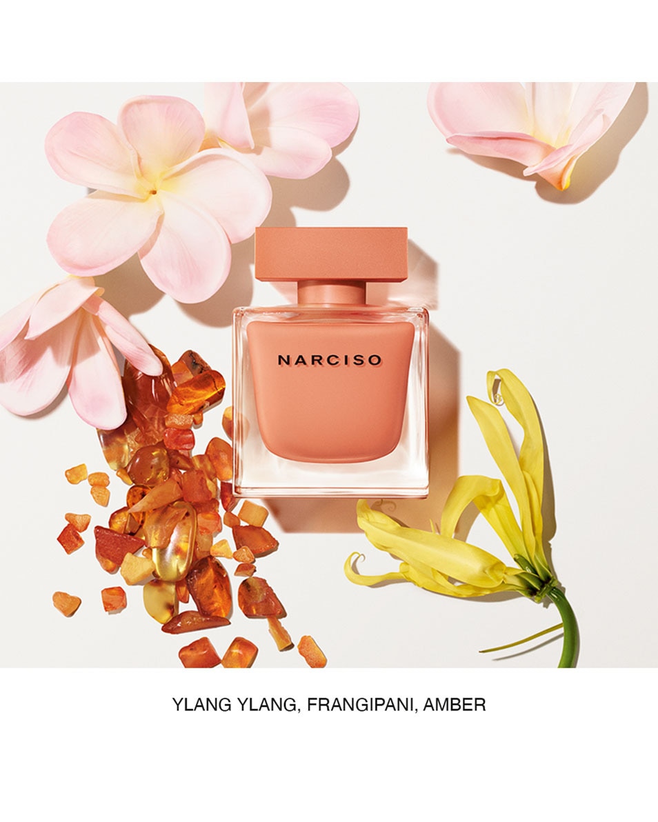 NARCISO RODRIGUEZ AMBREE EAU DE PARFUM 50 ML 2