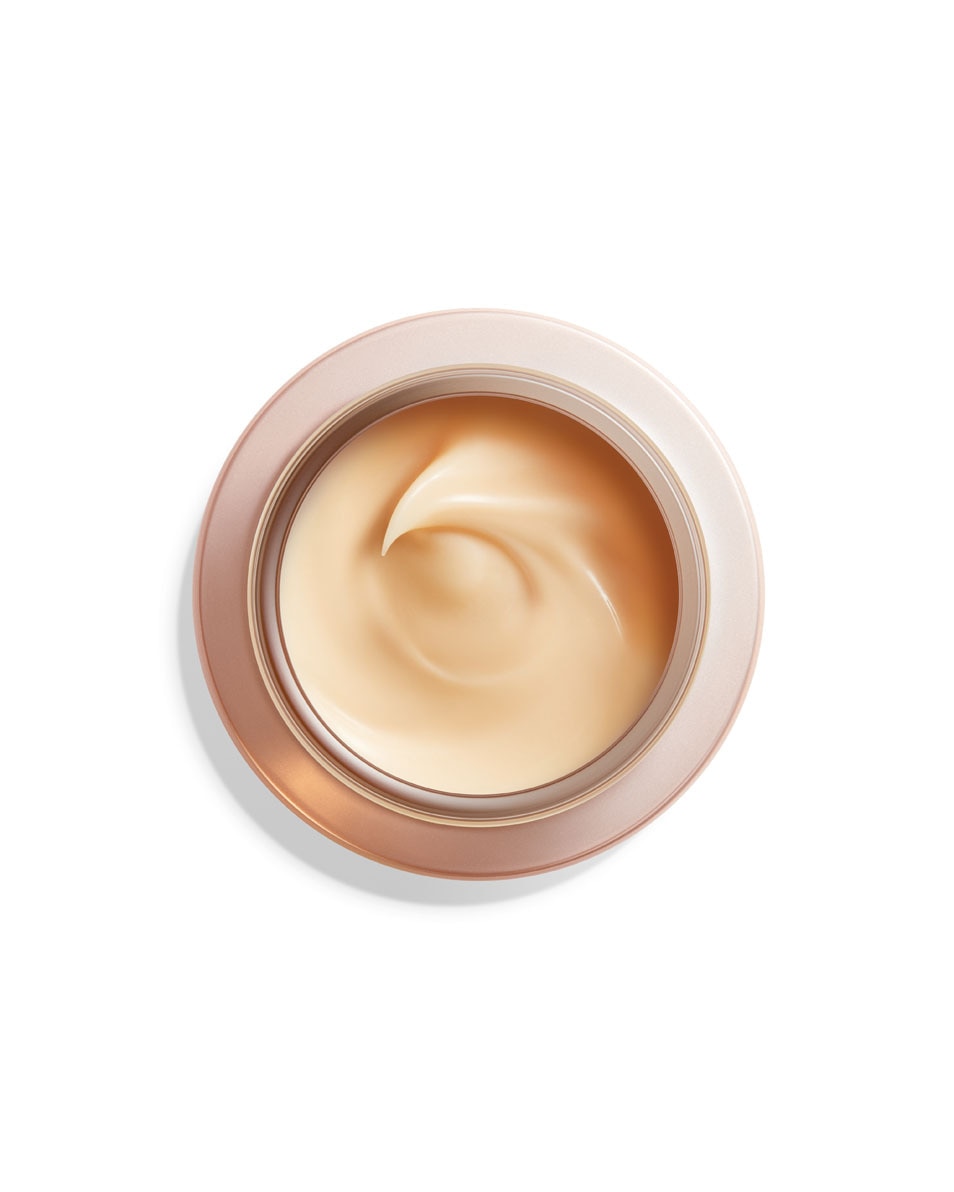 SHISEIDO BENEFIANCE OVERNIGHT WRINKLE RESISTING CREAM 50 ML 2