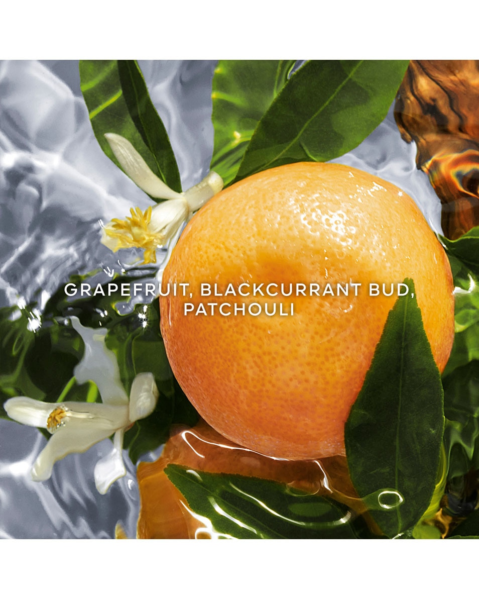 PAMPLELUNE - EAU DE TOILETTE