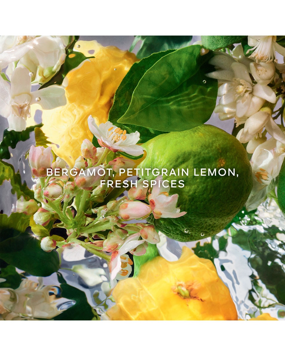 GUERLAIN AQUA ALLEGORIA BERGAMOTE CALABRIA – EAU DE TOILETTE REFILL 200 ML