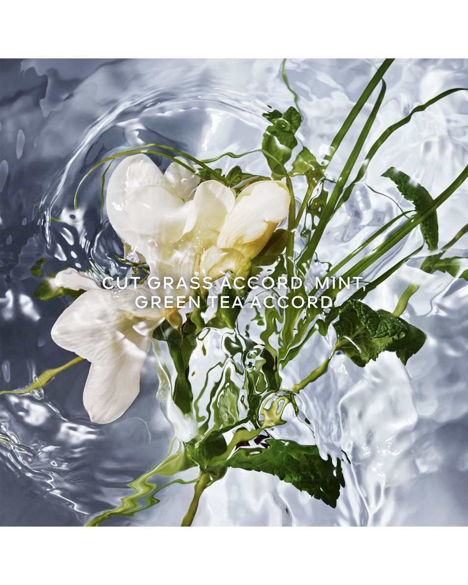 GUERLAIN AQUA ALLEGORIA HERBA FRESCA – EAU DE TOILETTE REFILL 200 ML 2