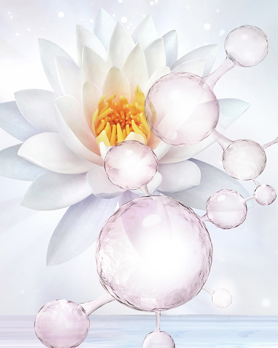 HYDRATERENDE TONER - VOOR DROGE HUID