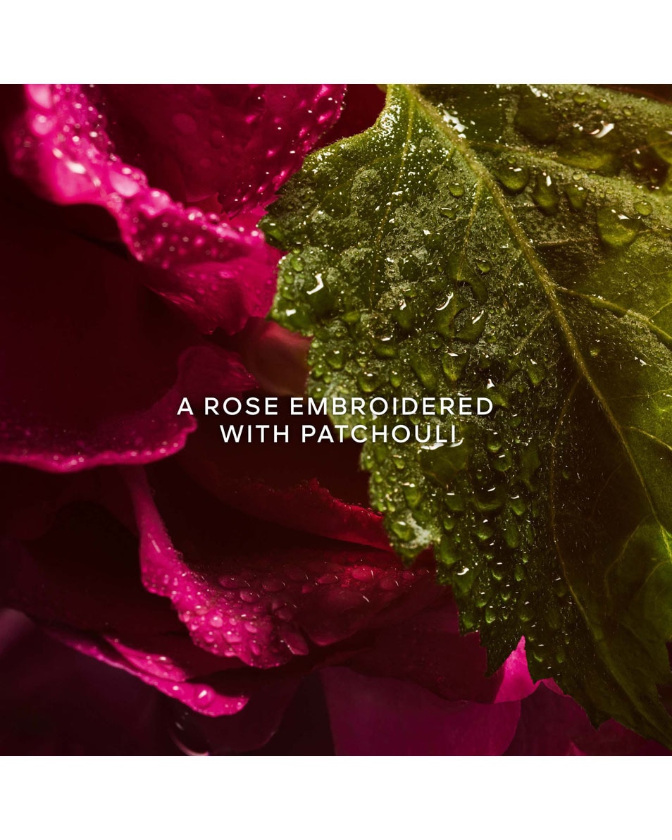 EAU DE PARFUM ABSOLUE