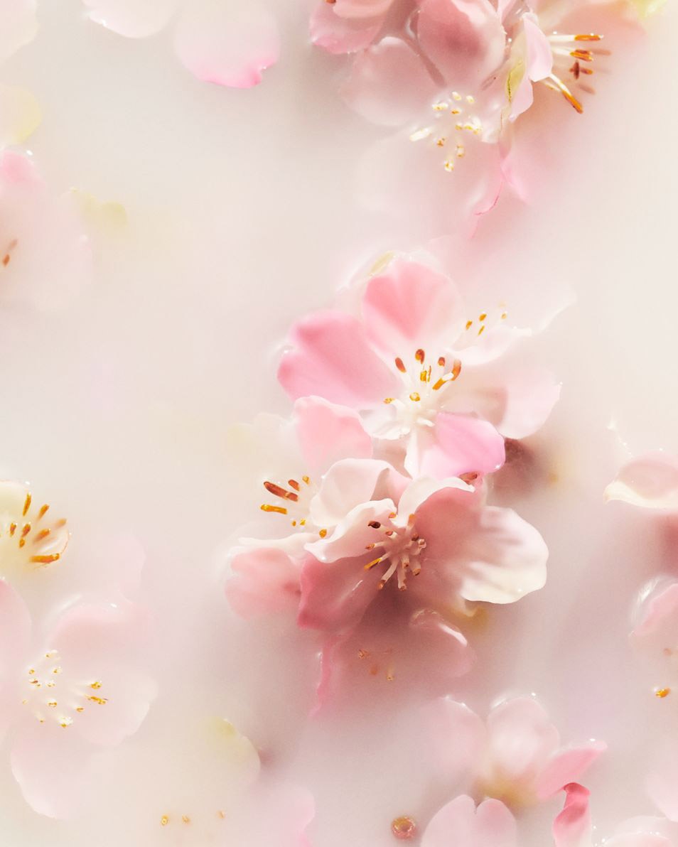 RITUALS The Ritual of Sakura mist voor haar & lichaam 50 ML 2