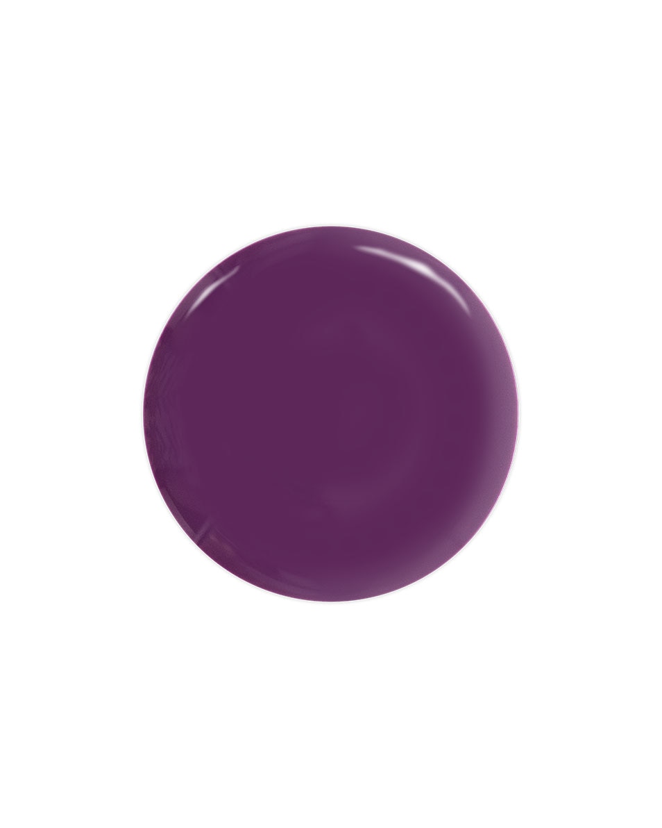 ONLY YOU LIMITED EDITION WINTER 24 UV GEL NAIL POLISH UV GEL POLISH PLUM PASSION PLUM PASSION 2