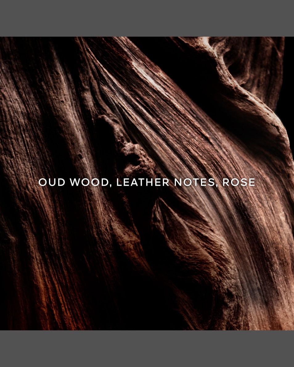 Absolus Allegoria Oud Essentiel Eau de Parfum