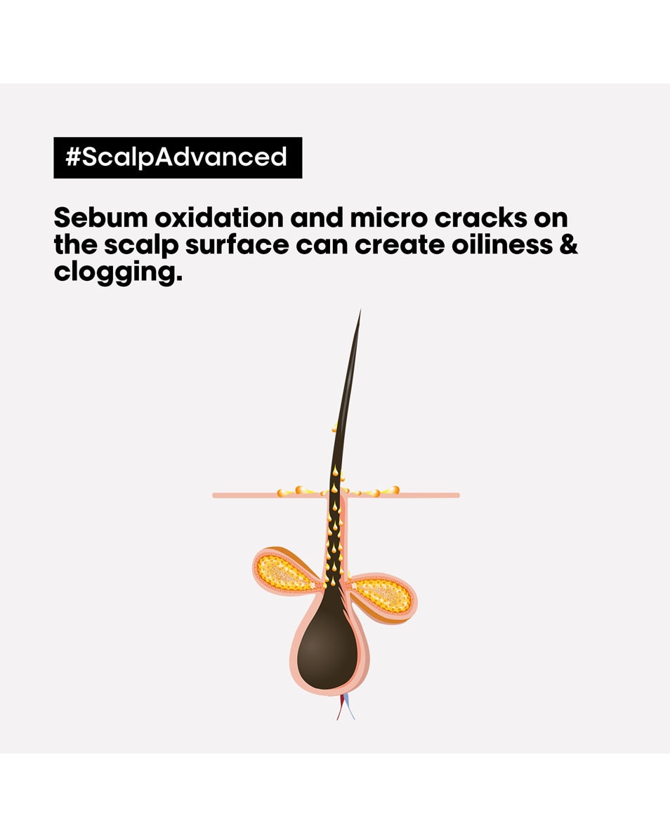 Anti oiliness dermo-purifier shampoo