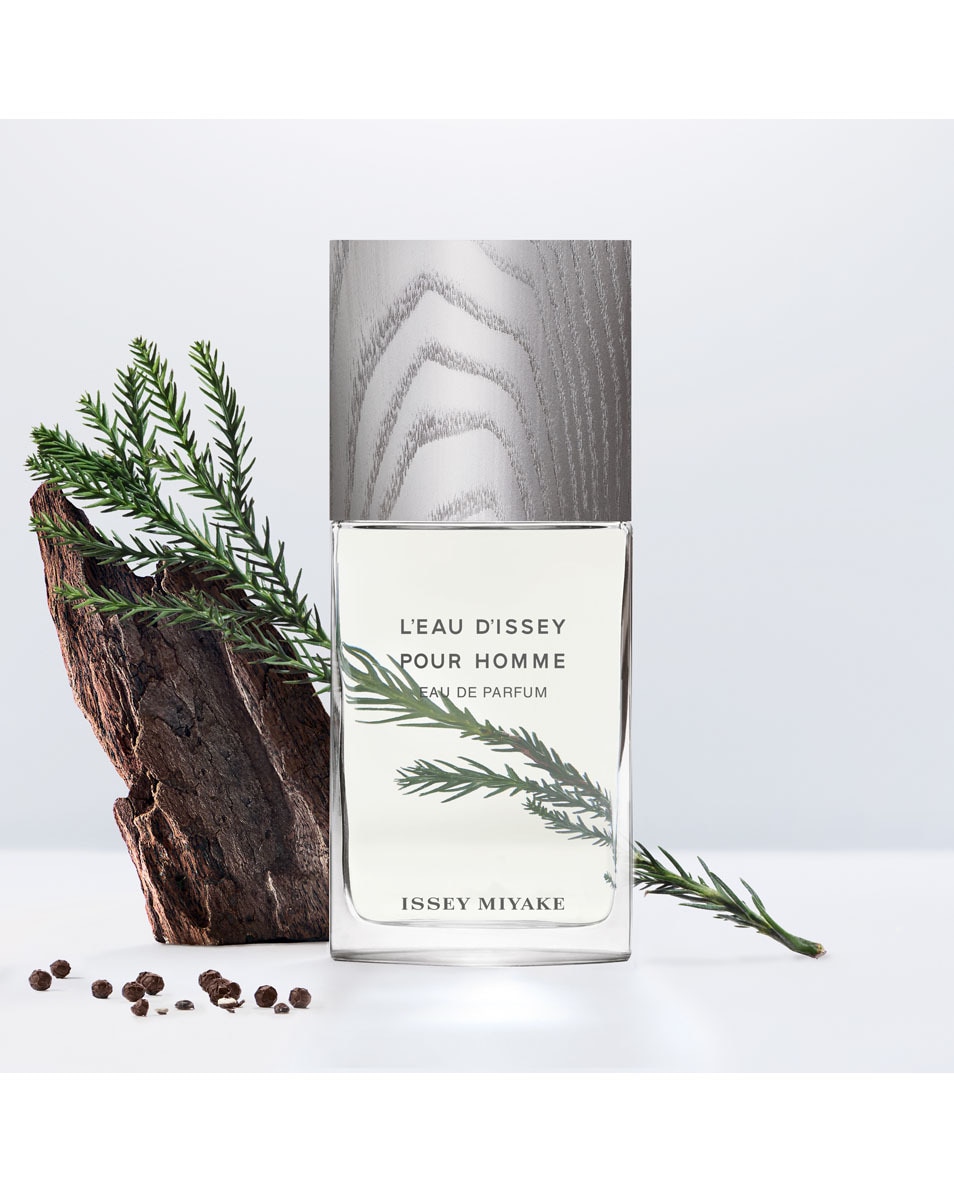 ISSEY MIYAKE L'Eau d'Issey pour Homme Eau de Parfum 75 ML 2