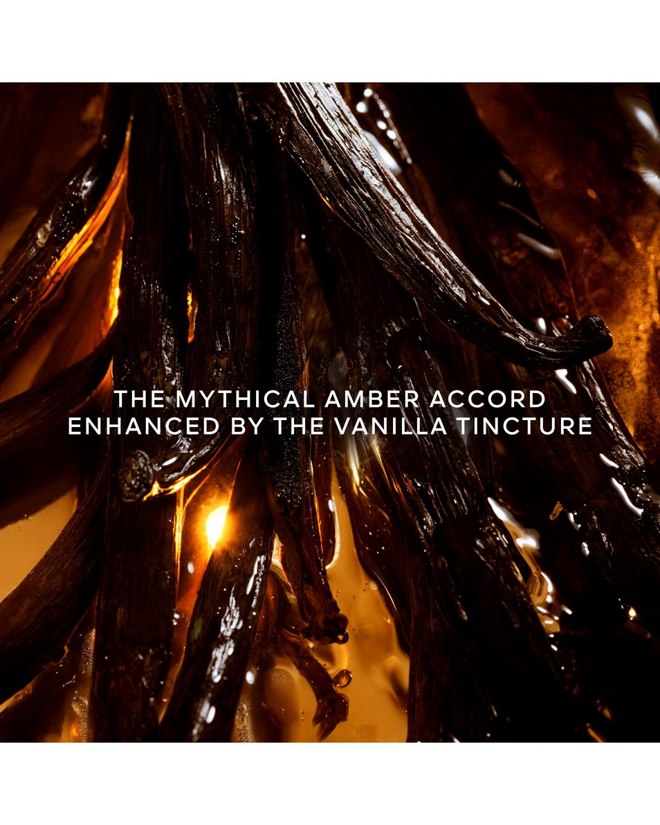 GUERLAIN SHALIMAR L'Essence - Eau de Parfum Intense 30 ML 2