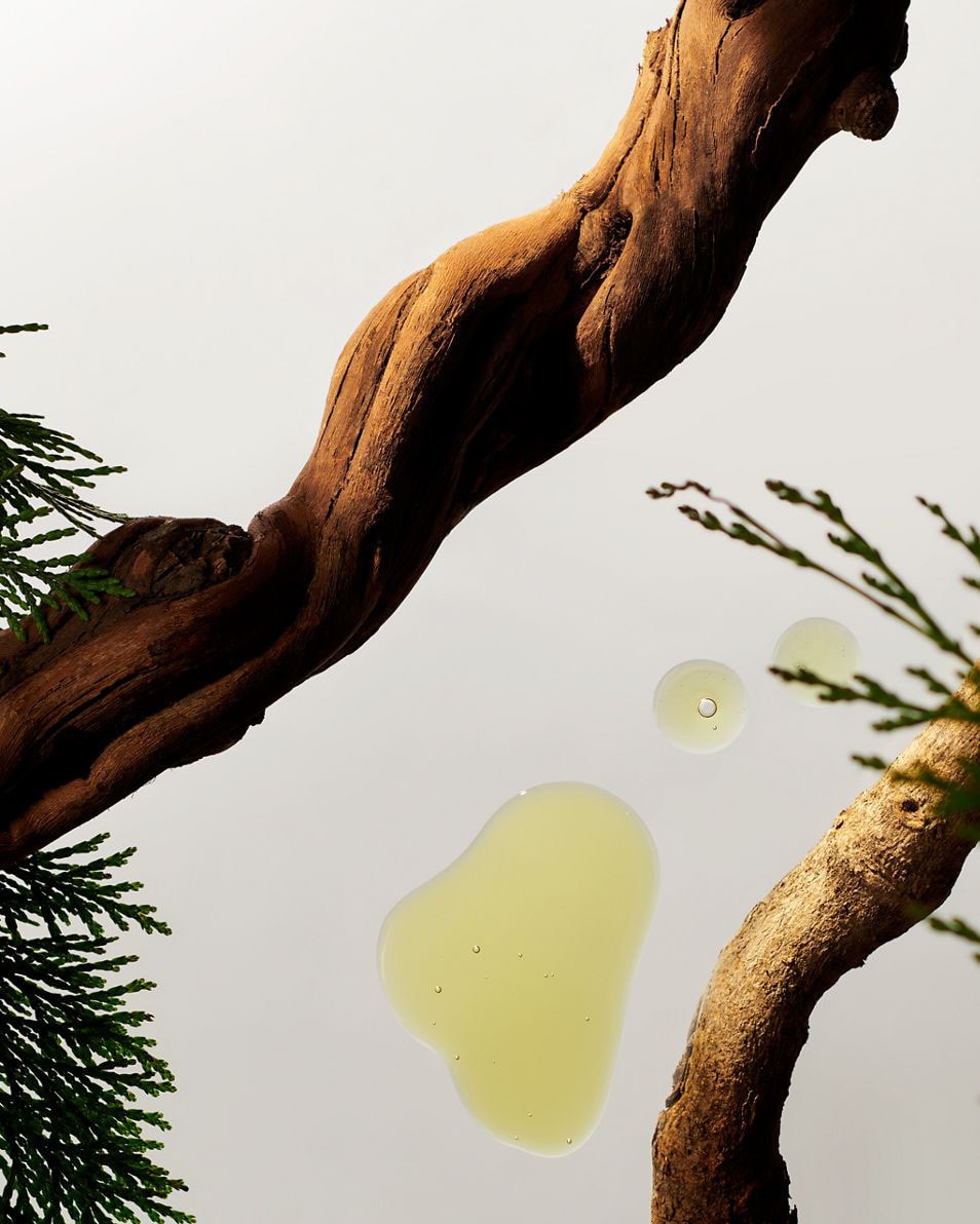 RITUALS Homme Collection Shampoo 250 ML 2