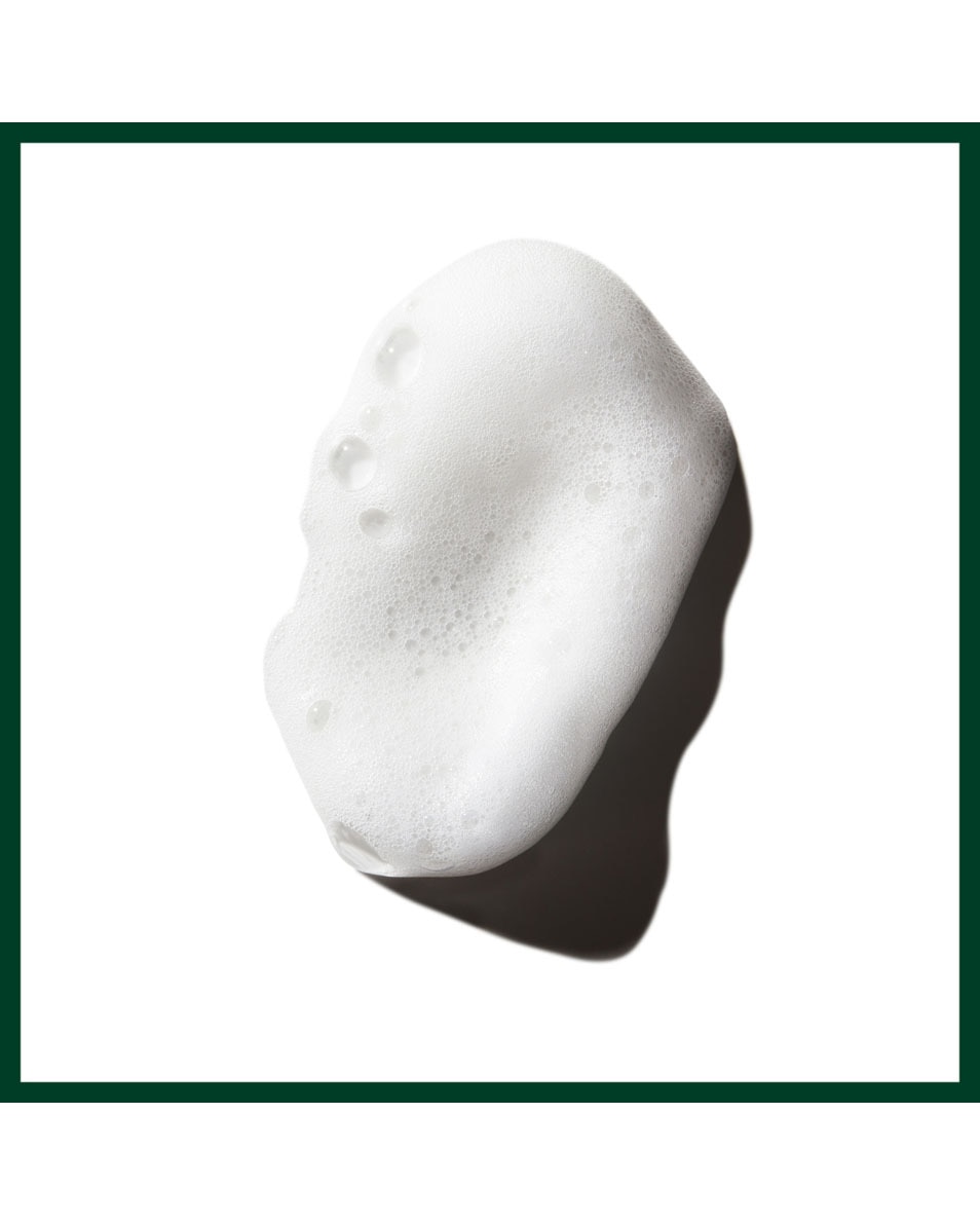 AVEDA Phomollient Styling Foam Stylingmousse voor fijn tot medium haar 200 ML 2