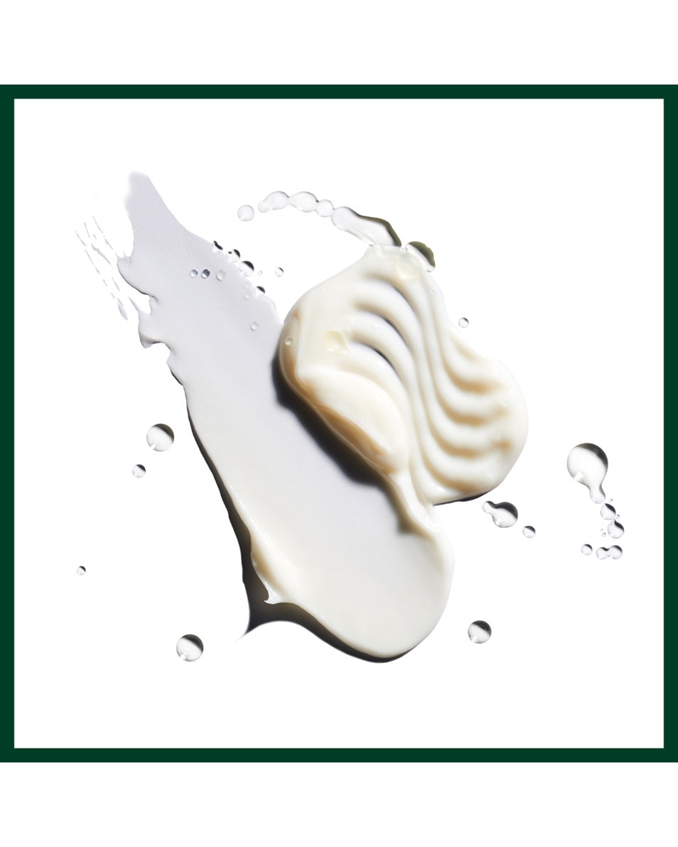AVEDA Nutriplenish Shampoo Light Moisture Hydraterende shampoo voor fijn haar 250 ML 2
