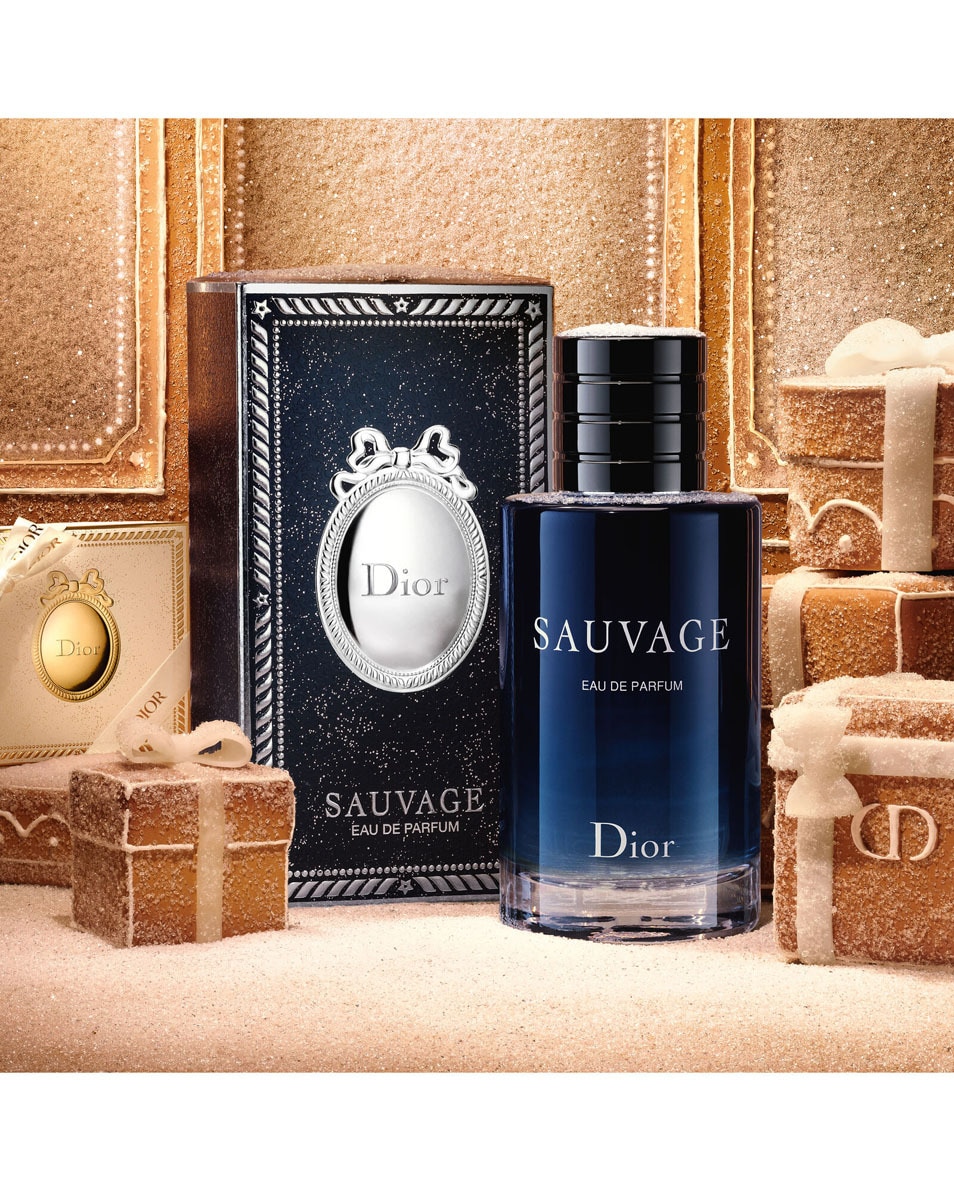 DIOR Sauvage Eau de Parfum - Limited Edition Men's Fragrance Herenparfum - Kruiden & vanille-absolue 100 ML 2